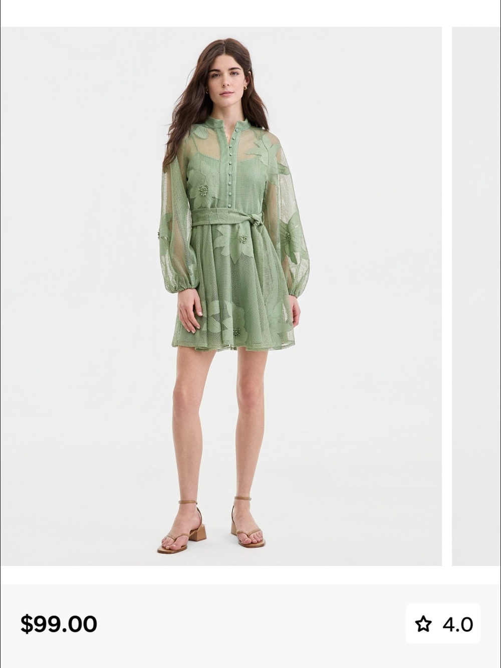 Sheer Sage Green Long-Sleeve Floral Mini Dress with Tie Waist